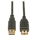Tripp Lite U024-010 USB cable USB 2.0 120.1" (3.05 m) USB A Black