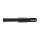 Tripp Lite U420-01M-G25ARA USB cable USB 3.2 Gen 2 (3.1 Gen 2) 39.4" (1 m) USB C Black