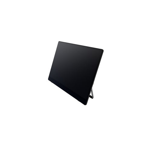 Ricoh 150 Portable monitor Black 15.6" LED 1920 x 1080 pixels