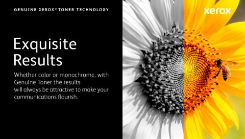 Xerox 006R04685 toner cartridge 1 pc(s) Original Black