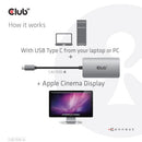CLUB3D CAC-1510-A video cable adapter 9.84" (0.25 m) USB Type-C DVI-D Gray