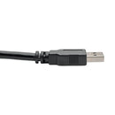 Tripp Lite U320-006-BK USB cable USB 3.2 Gen 1 (3.1 Gen 1) 70.9" (1.8 m) USB A Black