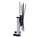 StarTech.com 1110C-MOBILE-TV-CART TV mount/stand 100" Black, Silver