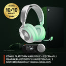 Steelseries 61525 headphones/headset Wired Head-band Gaming USB Type-C White