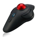 Adesso iMouse T40 mouse Office Ambidextrous RF Wireless Trackball 4800 DPI