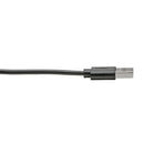 Tripp Lite U038-006-CRA USB cable USB 2.0 70.9" (1.8 m) USB A USB C Black