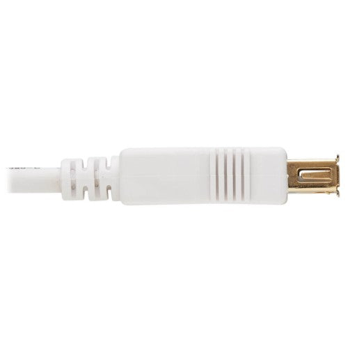 Tripp Lite U024AB-006-WH USB cable USB 2.0 72" (1.83 m) USB A White