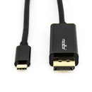 Rocstor Y10C167-B1 video cable adapter 70.9" (1.8 m) DisplayPort USB Type-C Black