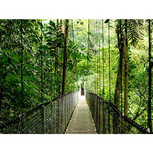 HP EliteBook 6 G1i AI PC Wolf Pro Security Edition Intel Core Ultra 7 255U Laptop 14" Touchscreen WUXGA 16 GB DDR5-SDRAM 512 GB SSD Wi-Fi 7 (802.11be) Windows 11 Pro Silver