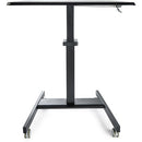 StarTech.com STSCART2 desktop sit-stand workplace