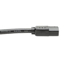 Tripp Lite P005-002 power cable Black 24" (0.61 m) C14 coupler C13 coupler