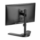 Rocstor Y10N002-B1 monitor mount / stand 34" Desk Black