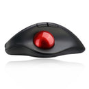Adesso iMouse T30 mouse Office Right-hand RF Wireless Trackball 4800 DPI