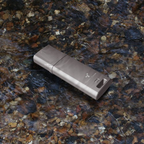 DataLocker DL GO USB flash drive 16 GB USB Type-A 3.2 Gen 2 (3.1 Gen 2) Gray