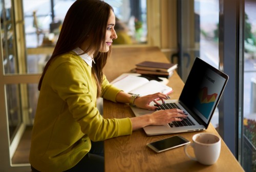 3M BPNAP006 13.6" Laptop Frameless display privacy filter