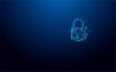 Kingston Technology IronKey Vault Privacy 50 USB flash drive 16 GB USB Type-A 3.2 Gen 1 (3.1 Gen 1) Black, Blue