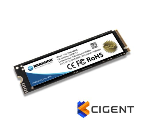 iStorage Kanguru SED300 1.02 TB M.2 PCI Express 3.0 NVMe 3D TLC