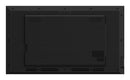 Hisense 43DM66D signage display Digital A-board 43" Wi-Fi 500 cd/m² Full HD Black Android 11 24/7