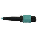 Tripp Lite N844B-02M-12-P InfiniBand/fibre optic cable 78.7" (2 m) MPO/MTP OFNR Aqua color, Blue
