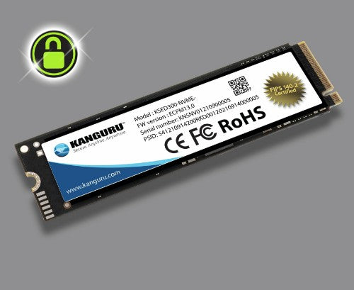 iStorage Kanguru SED300 1.02 TB M.2 PCI Express 3.0 NVMe 3D TLC