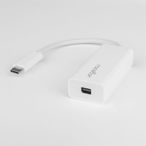 Rocstor Y10A241-W1 DisplayPort cable USB C Mini DisplayPort White