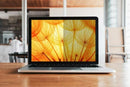 3M BP173W9B display privacy filters Frameless display privacy filter 17.3"