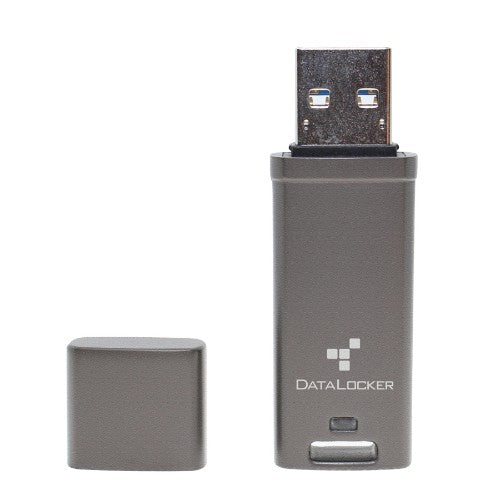 DataLocker DL GO USB flash drive 4 GB USB Type-A 3.2 Gen 2 (3.1 Gen 2) Gray