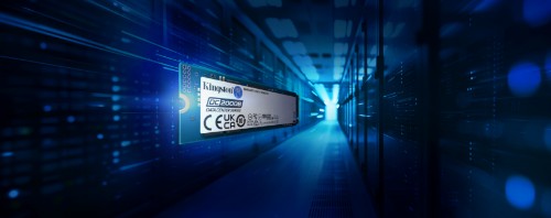 Kingston Technology DC2000B 240 GB M.2 PCI Express 4.0 NVMe 3D TLC