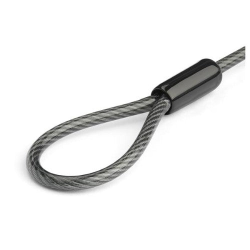 StarTech.com BRNCHLOCK cable lock Black, Silver