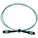 Tripp Lite N844B-01M-12-P InfiniBand/fibre optic cable 39.4" (1 m) MPO/MTP OFNR Aqua color, Black