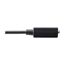 Tripp Lite P134-06N-VGA video cable adapter 5.91" (0.15 m) DisplayPort VGA (D-Sub) Black