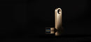Kingston Technology DataTraveler SE9 G3 USB flash drive 64 GB USB Type-A 3.2 Gen 1 (3.1 Gen 1) Gold