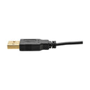 Tripp Lite P130-06N-DP-V2 video cable adapter 5.91" (0.15 m) HDMI DisplayPort Black