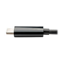 Tripp Lite U444-06N-HDB-AM video cable adapter 5.91" (0.15 m) HDMI Type A (Standard) USB Type-C Black