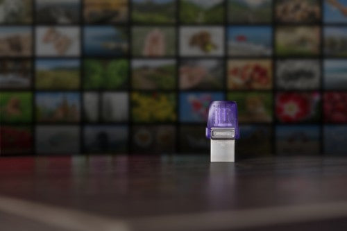 Kingston Technology DataTraveler microDuo 3C USB flash drive 256 GB USB Type-A / USB Type-C 3.2 Gen 1 (3.1 Gen 1) Stainless steel, Purple