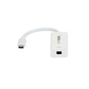 StarTech.com CDP2MDP USB graphics adapter 3840 x 2160 pixels White