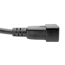 Tripp Lite P036-010 power cable Black 120.1" (3.05 m) C19 coupler C20 coupler