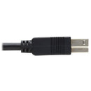 Tripp Lite U328F-30M USB cable USB 3.2 Gen 1 (3.1 Gen 1) 1181.1" (30 m) USB A USB B Black
