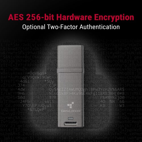 DataLocker DL GO USB flash drive 64 GB USB Type-A 3.2 Gen 2 (3.1 Gen 2) Gray