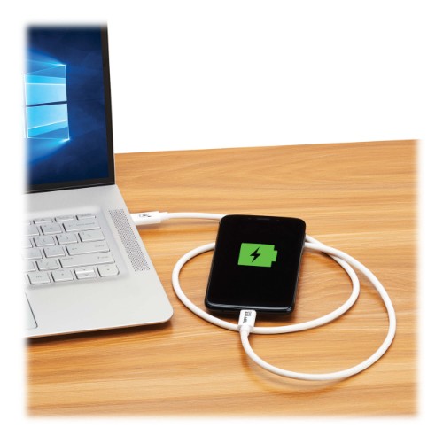 Tripp Lite U521-1P0M-WH USB cable USB4 Gen 2x2 39.4" (1 m) USB C White