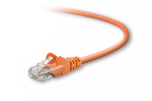 Belkin Cat5e, 25ft, 1 x RJ-45, 1 x RJ-45, Orange networking cable 300" (7.62 m)