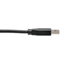 Tripp Lite U428-003-CRA USB cable USB 3.2 Gen 1 (3.1 Gen 1) 35.4" (0.9 m) USB C USB A Black