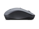 Lenovo WL310 mouse Office Ambidextrous Bluetooth Optical 1200 DPI