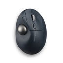 Kensington Pro Fit Ergo TB550 mouse Office Right-hand RF Wireless + Bluetooth Trackball 1600 DPI