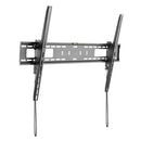 StarTech.com FPWTLTB1 TV mount 100" Black