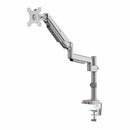 Rocstor Y10N021-S1 monitor mount / stand 34" Silver Desk