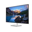 DELL UltraSharp U4323QE computer monitor 43" 3840 x 2160 pixels 4K Ultra HD LCD Silver
