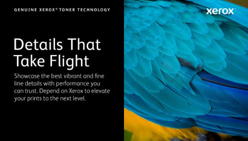 Xerox 006R04358 toner cartridge 1 pc(s) Original Magenta