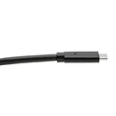 Tripp Lite U420-006-5A USB cable USB 3.2 Gen 1 (3.1 Gen 1) 72" (1.83 m) USB C Black